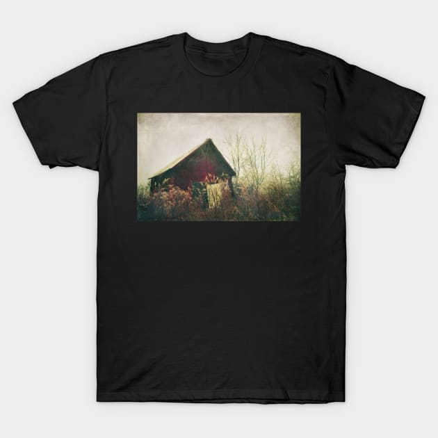 Red Barn T-Shirt by oliviastclaire